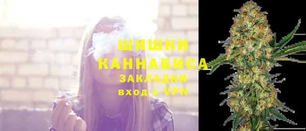 индика Наволоки