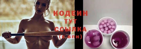 соль ск Нея
