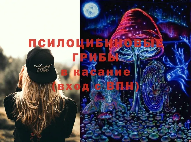 Галлюциногенные грибы Cubensis  это клад  Каменногорск 