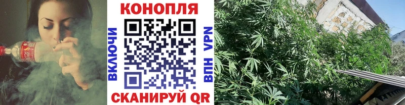МАРИХУАНА марихуана Каменногорск